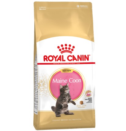 Royal Canin Kitten Maine Coon сухой корм для котят Мэйн Кун 400 гр. 